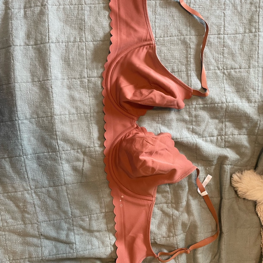 Scallop 34 DD Aerie Bra- worn 2 times